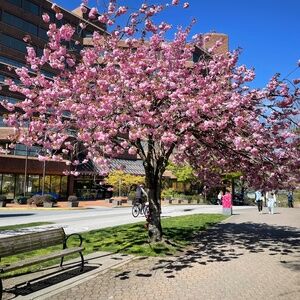 Meet your Posher, Nancy